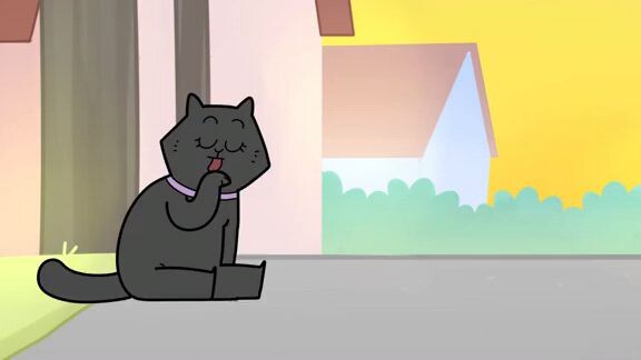 Anjing Vs Kucing