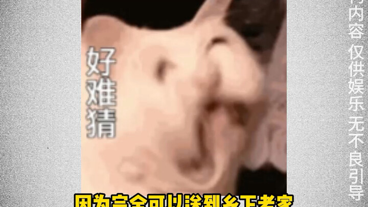 A fake human parent stewed their pet chicken for a meal