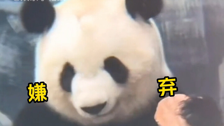 One steamed corn bun silenced all the pandas...