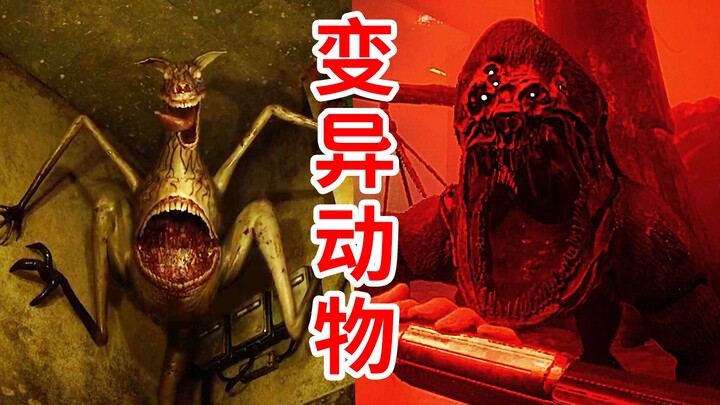 สัตว์ที่นี่บ้าไปแล้ว! ภาคเต็มของ “Zoochosis” สวนสัตว์สุดเพี้ยน พร้อมคำอธิบายเนื้อเรื่อง!