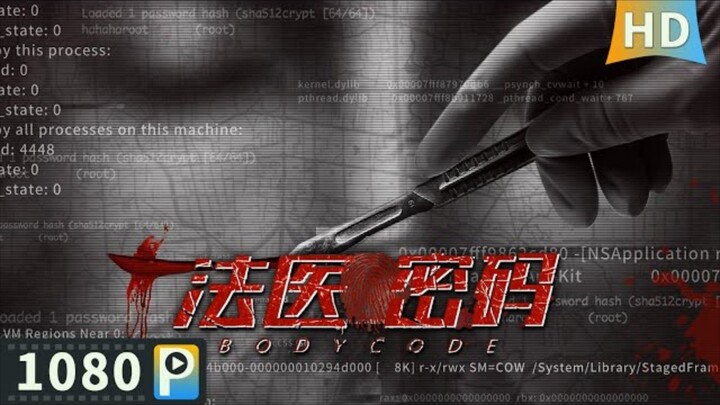 🇨🇳  法医密码  Body Code  2019