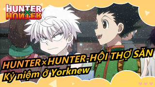 HUNTER×HUNTER-HỘI THỢ SĂN| Kỷ niệm ở Yorknew