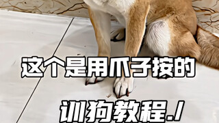 Chó con: Hay là cậu không chịu nổi à