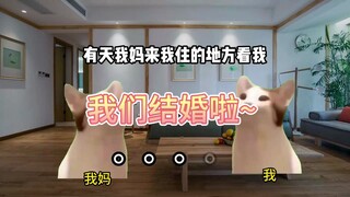 我隐瞒全家人，和狗结婚