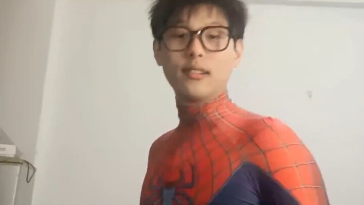 Spiders