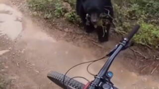 Godly Streamer TV Am I Avoiding His Sharpness? 6