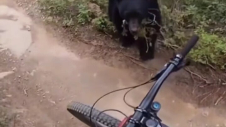 تلفزيون الإله، هل أتجنب قوته؟ 6