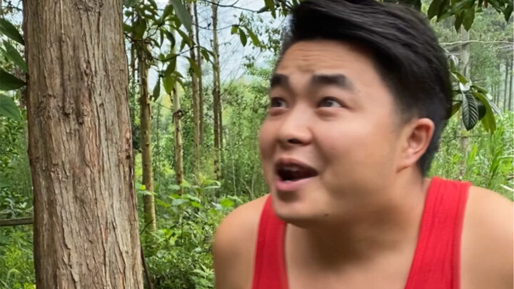 Đây mới chỉ là khởi đầu.