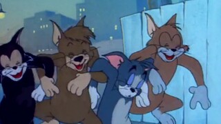 Phương ngữ Tứ Xuyên Tom và Jerry: Mèo Tom quay lại gây rắc rối ở quán Internet? Những thao tác hài h