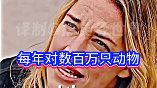 动物保护你怎么看