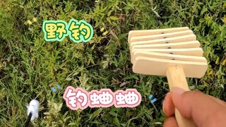 关于钓不到鱼只能去钓蛐蛐这件事