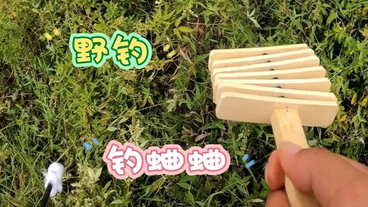 关于钓不到鱼只能去钓蛐蛐这件事