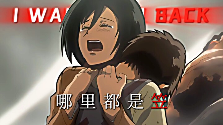 哪里都是“笠”