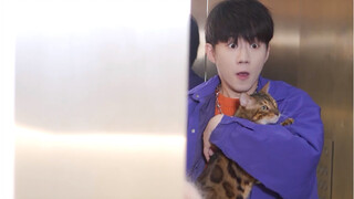 Leopard: I tried so hard to help my dad find a partner