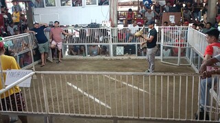kala patay na tagas kase oeeg tama