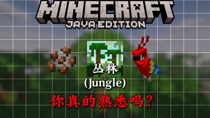 4 Minutes to Learn All About Minecraft Jungles!!