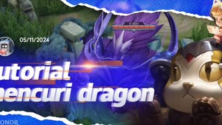 tutorial mencuri dragon
