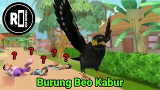 Santri Boy - Burung Beo Kabur