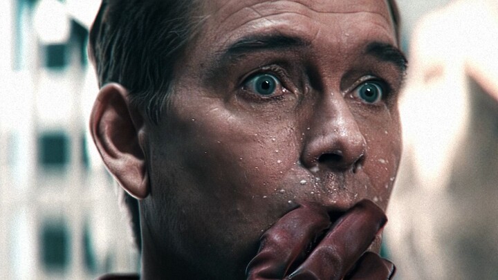 «زوباو الذي يحب شرب الحليب»