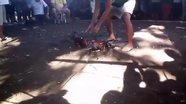 alaga kong nakakamimis
