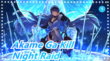 Akame Ga Kill|Hope you will enjoy this ! A tribute to the Night Raid !_1