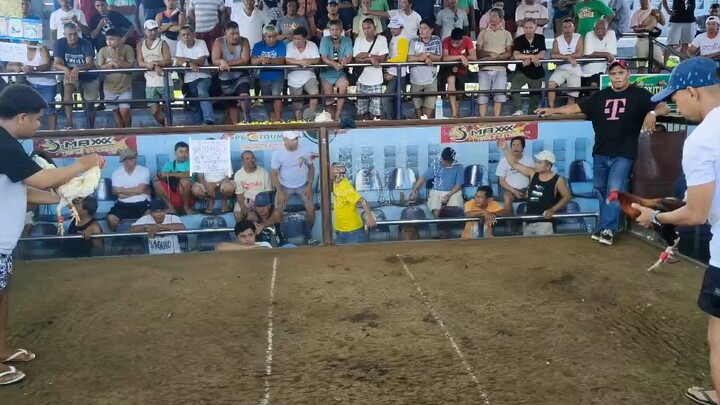 Sweater / mclean in action