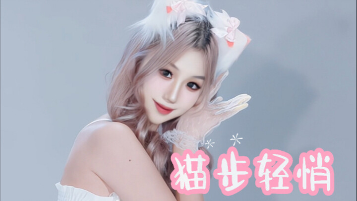 Mendaftar jadi kucing impianmu 【AOA—Langkah Kucing yang Lekas dan Sunyi】