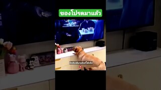 ของโปรดมาแล้ว