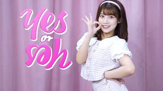 【Shi Keyan】YA atau YA♡ Apa pun pilihanmu, kamu akan bertemu denganku