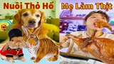 Thú Cưng TV | Gâu Đần và Bà Mẹ #33 | Chó Golden Gâu Đần thông minh vui nhộn | Pets cute smart dog