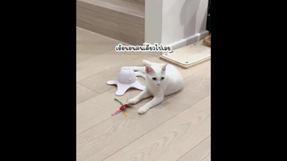 ฝันร้ายไม่ต้องมาเรียกพี่เลยนะ