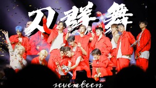 【SEVENTEEN】来欣赏一下南韩衡水次国的刀群舞吧
