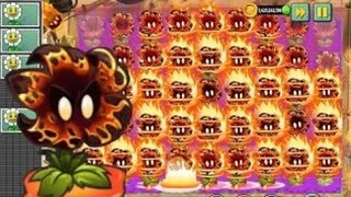 Meteorflower và hành trình vượt penny'pursuit - PVZ2 MK