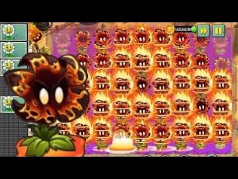 Meteorflower và hành trình vượt penny'pursuit - PVZ2 MK