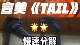 《TAIL》舞蹈慢速分解镜面分解教程