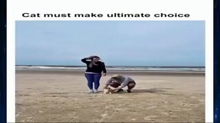Title: Video fun #shorts #BiliBilishorts #viral #tiktok #fyp