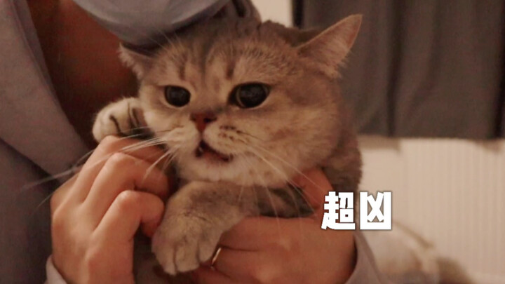 I caught that little brat and gave them a proper scolding! Kids shouldn’t be so mean!