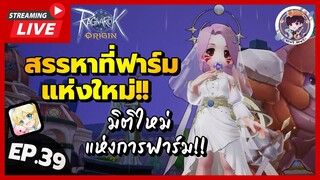 🔴LIVE !! Ragnarok Origin Global : Ep. 39 สรรหาที่ฟาร์มแห่งใหม่!! มิติใหม่แห่งการฟาร์ม!!