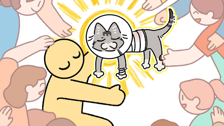 This is the kitten that all of us saved.