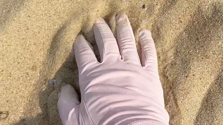 Let’s see what we can catch when we rush to the sea in the second dimension.