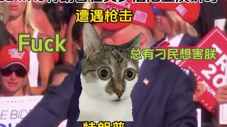 如果川普是猫meme……