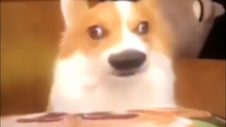 The Root of All Evil