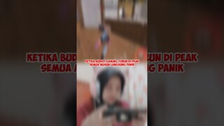 KETIKA BUDI01 GAMING TURUN DI PEAK SEMUA MUSUH LANGSUNG PANIK