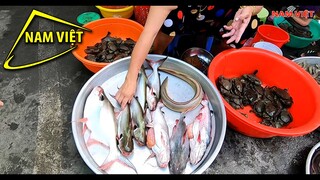 Hết tết mới phát hiện video Dì Út 15 đi chợ - Nam Việt 1350