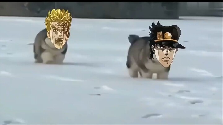 If all the characters in JOJO become dogs...