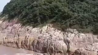 ระบบรักในเกาะร้าง