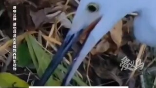 唠叨的时候好像在说。掉掉掉掉掉掉