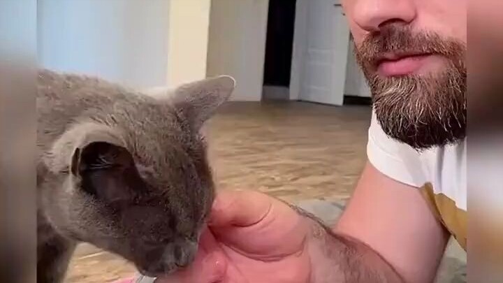 เลี้ยงแมวนับพันวัน ท้ายที่สุดก็ได้ใช้ประโยชน์เสียที!