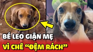 Lui Théo - Bé Leo GIẬN MẸ vì mắc cỡ khi mẹ show ĐỆM RÁCH cho các bạn xem 😂 | Yêu Lu