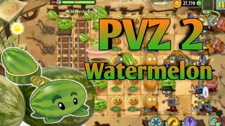 PVZ 2, Watermelon